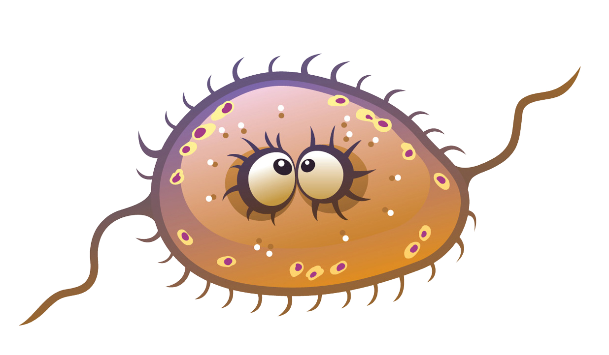 virus05.png