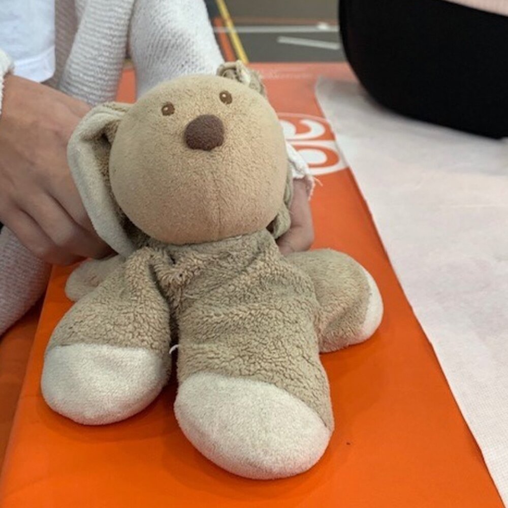 Die Besch&uuml;tzer sind nat&uuml;rlich auch mit dabei. Hase Leni passt gut auf sein Frauchen auf. Mehr Infos via Bio-Link.
#ciaocorona #corona #z&uuml;rich #schulen #virus #covid19 #testreihe #antik&ouml;rper #antik&ouml;rpertest #machmit