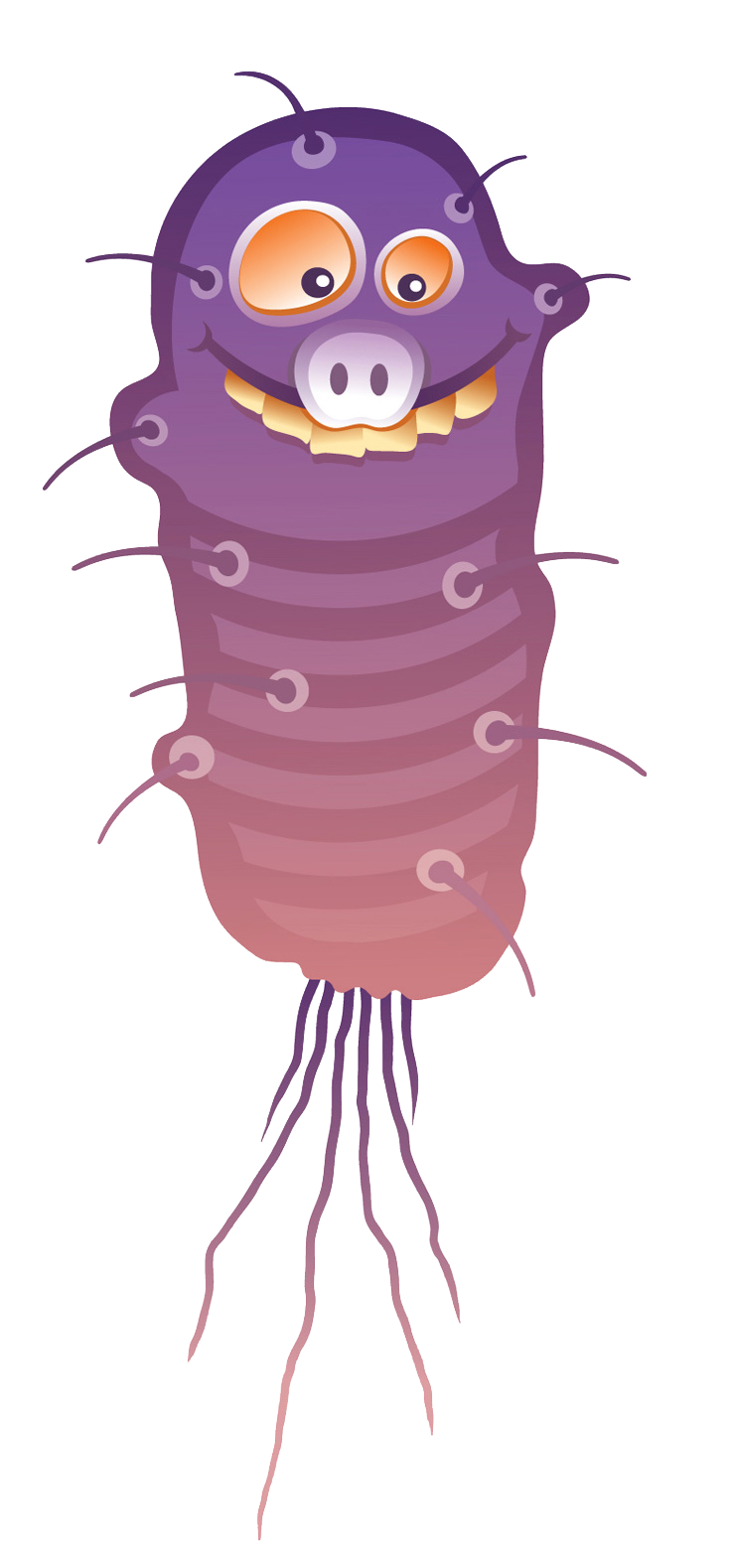 virus04.png